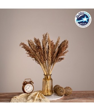 GloboStar® BROOMCORN 36553 Αποξηραμένο Φυτό Γλυκό Σόργο - Μπουκέτο Διακοσμητικών Κλαδιών Καφέ Υ60cm - Σετ 20 τμχ